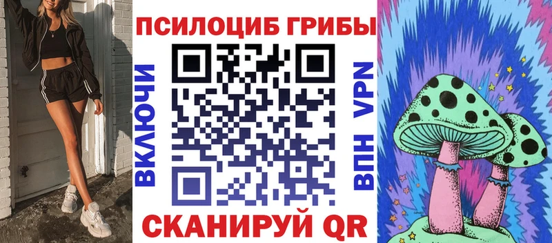 omg зеркало  Артёмовский  Псилоцибиновые грибы Psilocybine cubensis 